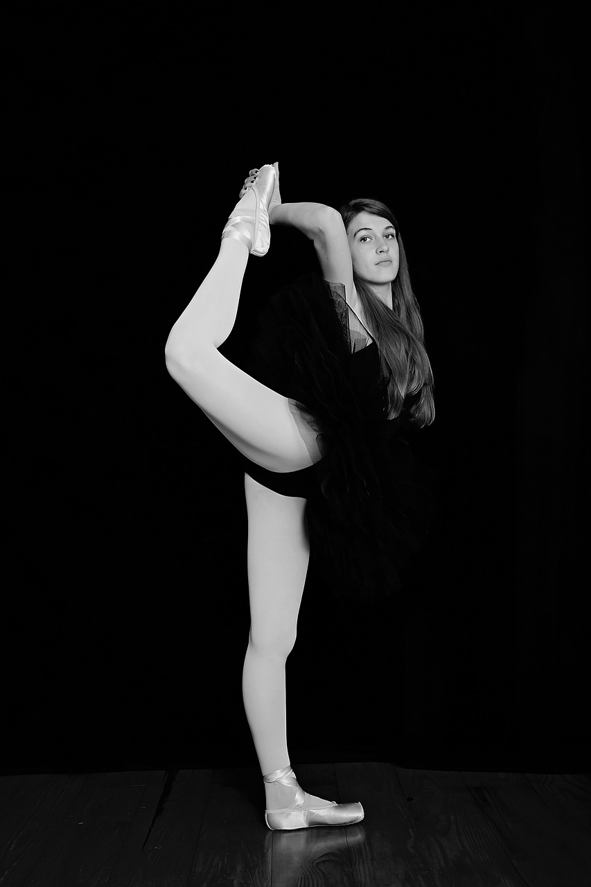 dance, ballet, ballerina-1652382.jpg